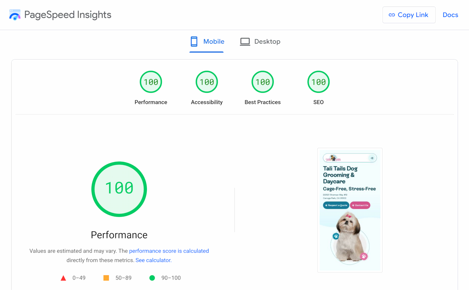 Tali Tails website with a perfect score on PageSpeed Insights (Lighthouse)