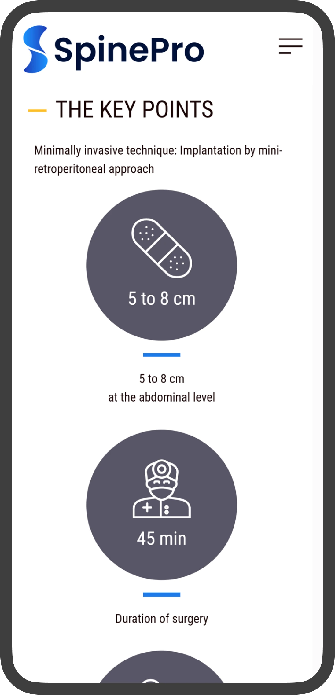 screenshot of old key points page section on mobile