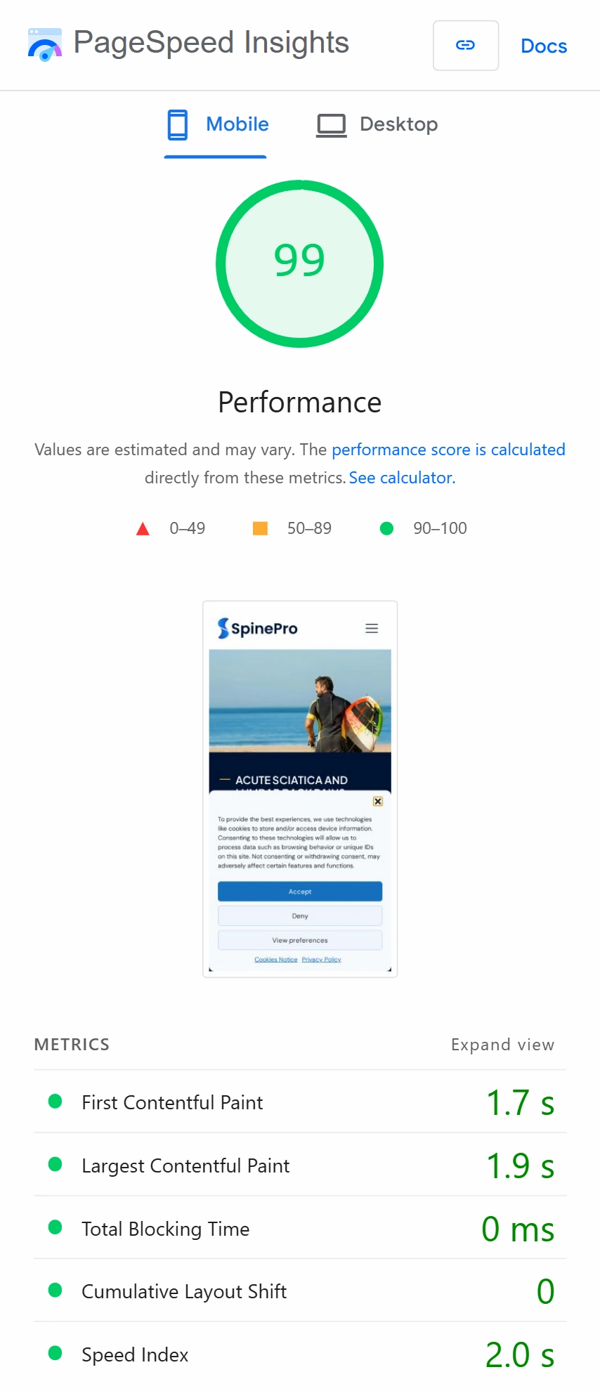 PageSpeed Insights score for new site, showing 99/100